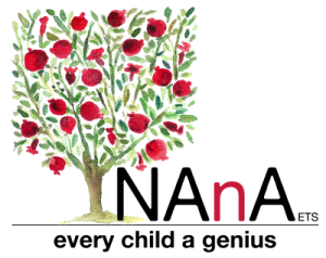 Logo NAnA ETS