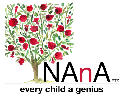 Logo NAnA ETS